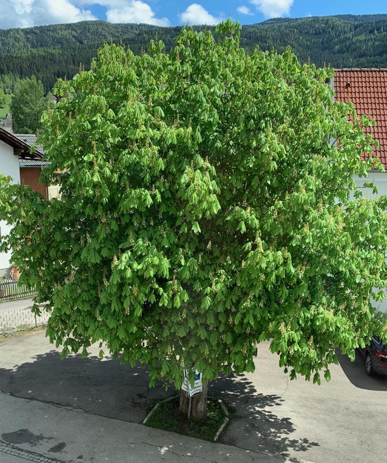 Landgasthof Zur Post Ξενοδοχείο Mitterdorf im Mürztal Εξωτερικό φωτογραφία